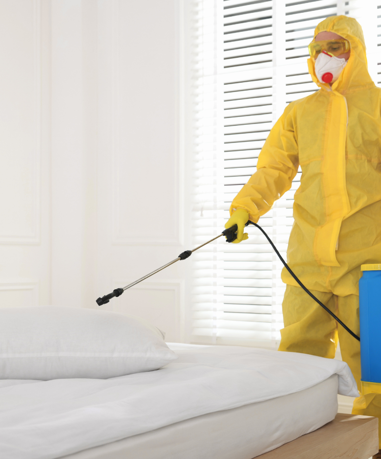 Professional Pest Control Team in Houghton